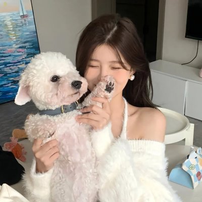 青囊传